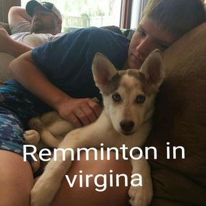 Meet your Posher, Cole